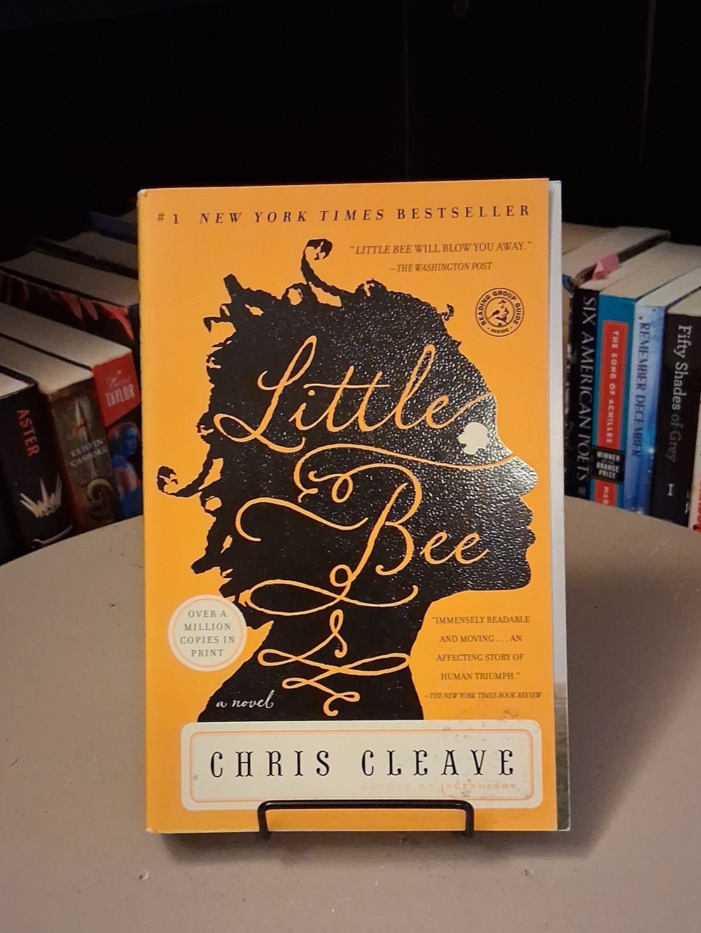 Little Bee by Chris Cleave